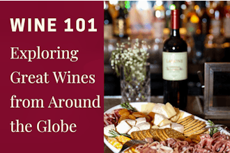 Wine Tasting 101 | Exploring Great Wines from Around the Globe
